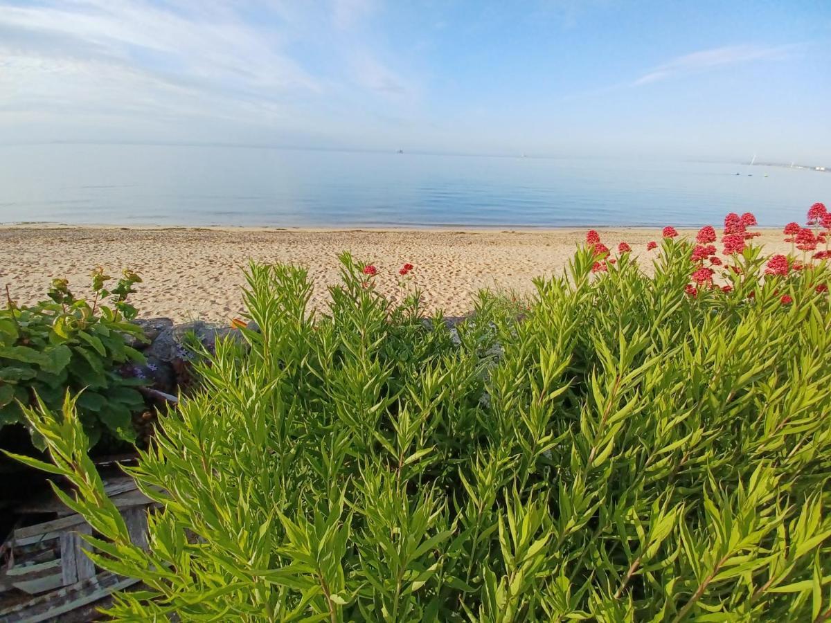 Largo Beach Holiday Home, East Neuk Of Fife, Near St Andrews Lower Largo Exteriör bild